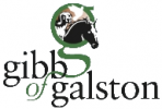 Gibb of Galston