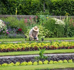 gardener