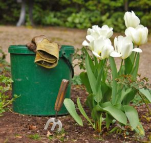 garden maintenance tools