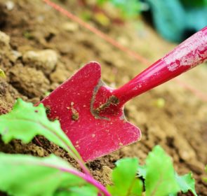 landscape gardening