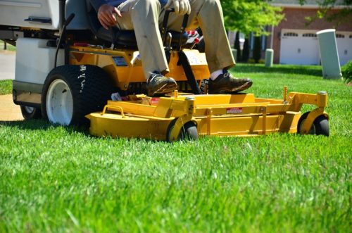 grass cutting service