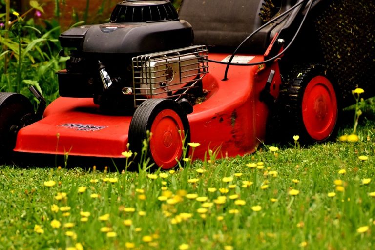 Grass Cutting Services Pricing Information & Advice