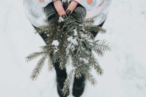 winter gardening