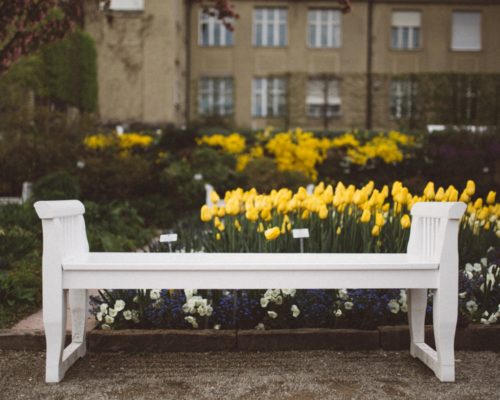 winter gardening