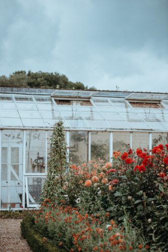 winter gardening