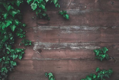 garden fence