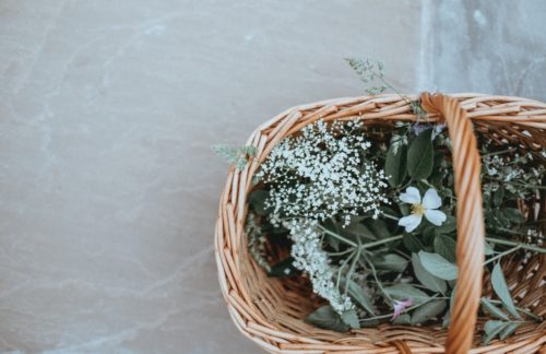 herb garden